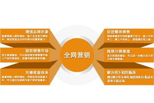 上海徐汇网络公司网站建设与运营全攻略 打造企业数字化未来